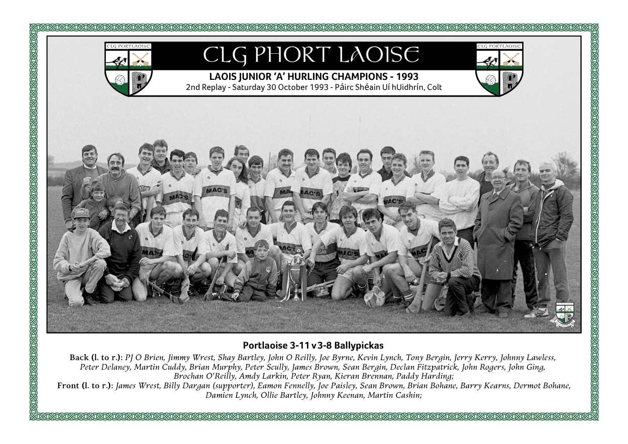 Portlaoise Junior C hurling champions 1993