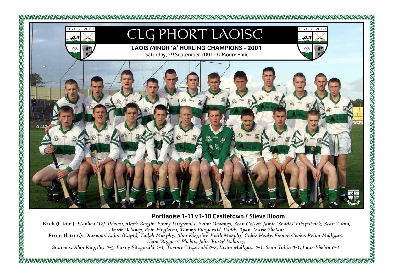 Portlaoise minor hurlers who captured county championship success in 2001