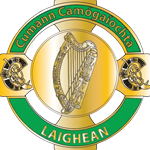 Leinster Camogie