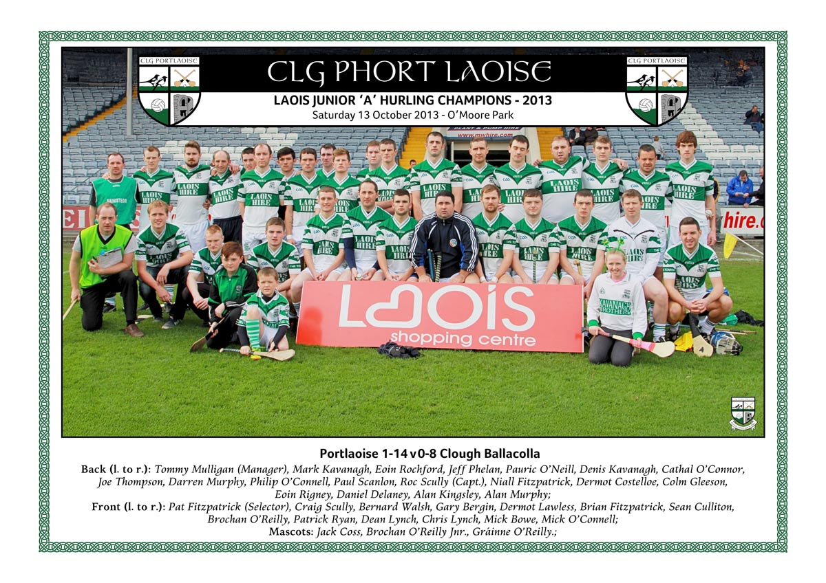 Portlaoise Junior A hurlers who won the 2013 county championship
