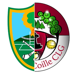 Ballinakill Ballypickas crest